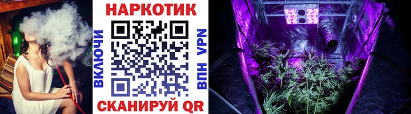 Где купить наркотики Магас Метадон  Кокаин  Псилоцибиновые грибы  Канабис  Гашиш  Альфа ПВП 