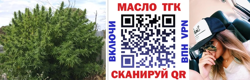 ТГК концентрат Магас