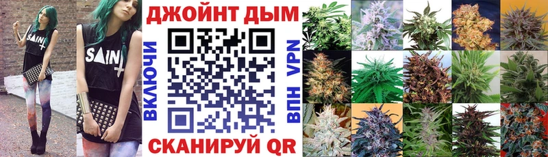 Бошки Шишки гибрид  Магас 